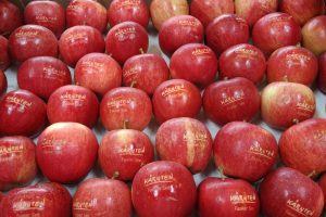 Äpfel mit hochwertiger Lebensmittelgravur vom Experten